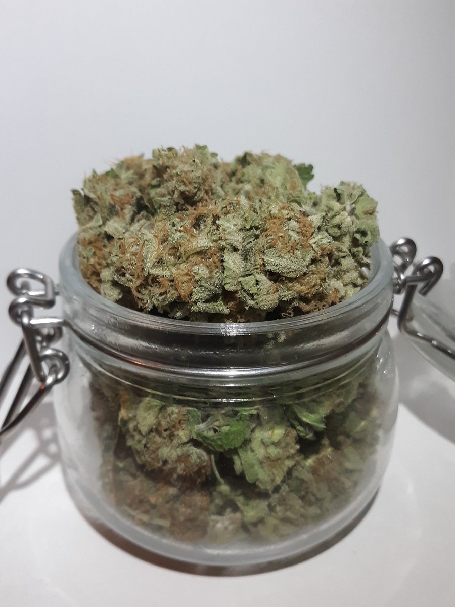 Courtney (@13luntslut) on Twitter photo 