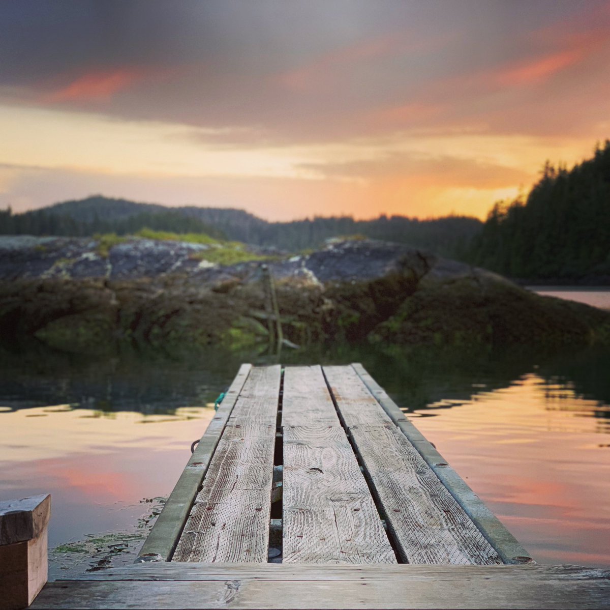 Katieksr83's tweet photo. #tofino #sunset #lagoonisland #lagoonfloatcamp #airbnb #britishcolumbia https://t.co/f4t891zeMk