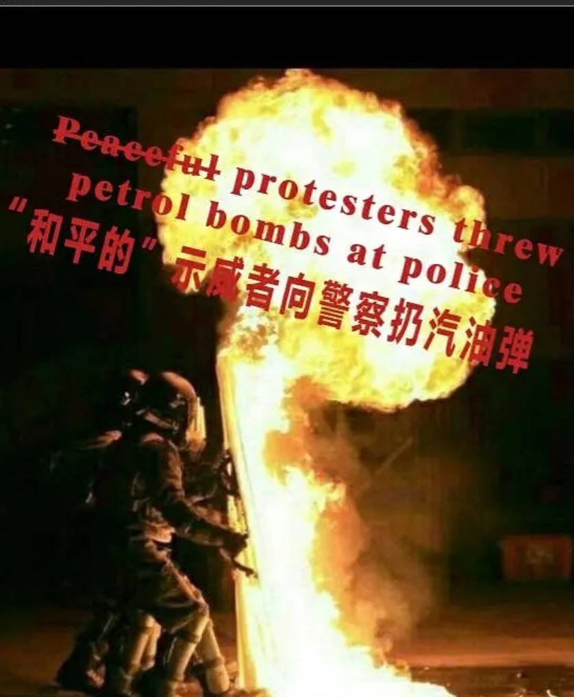 Army62832833's tweet photo. @GagasMo56352594 @BW shame on protecters. https://t.co/I28wjw1r0J