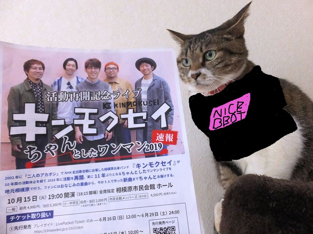 sijiminyanko's tweet photo. 全部似合うから悩むにゃ~😅👕🐱
#キンモク #NICEBEAT https://t.co/3iyH8boXru