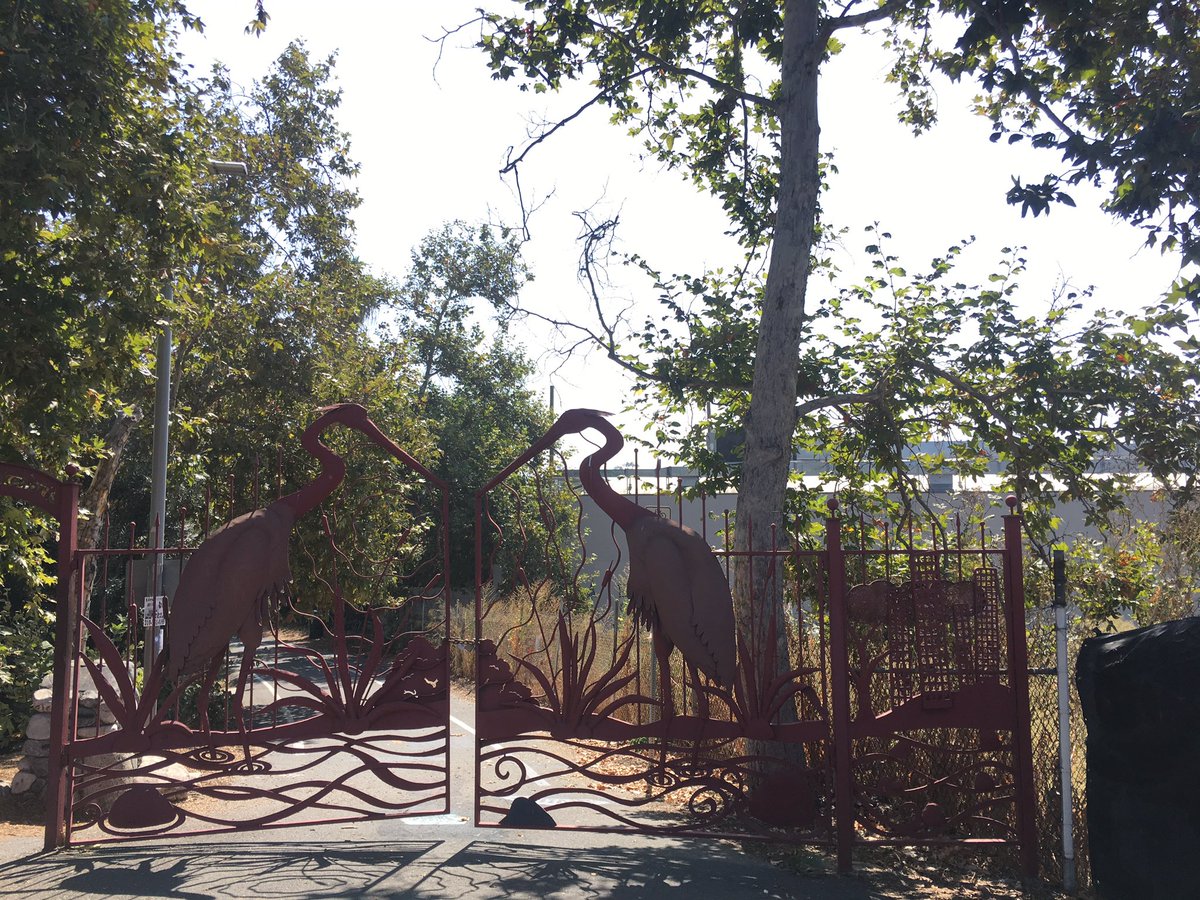 felt tip feelings🌹 tweet media