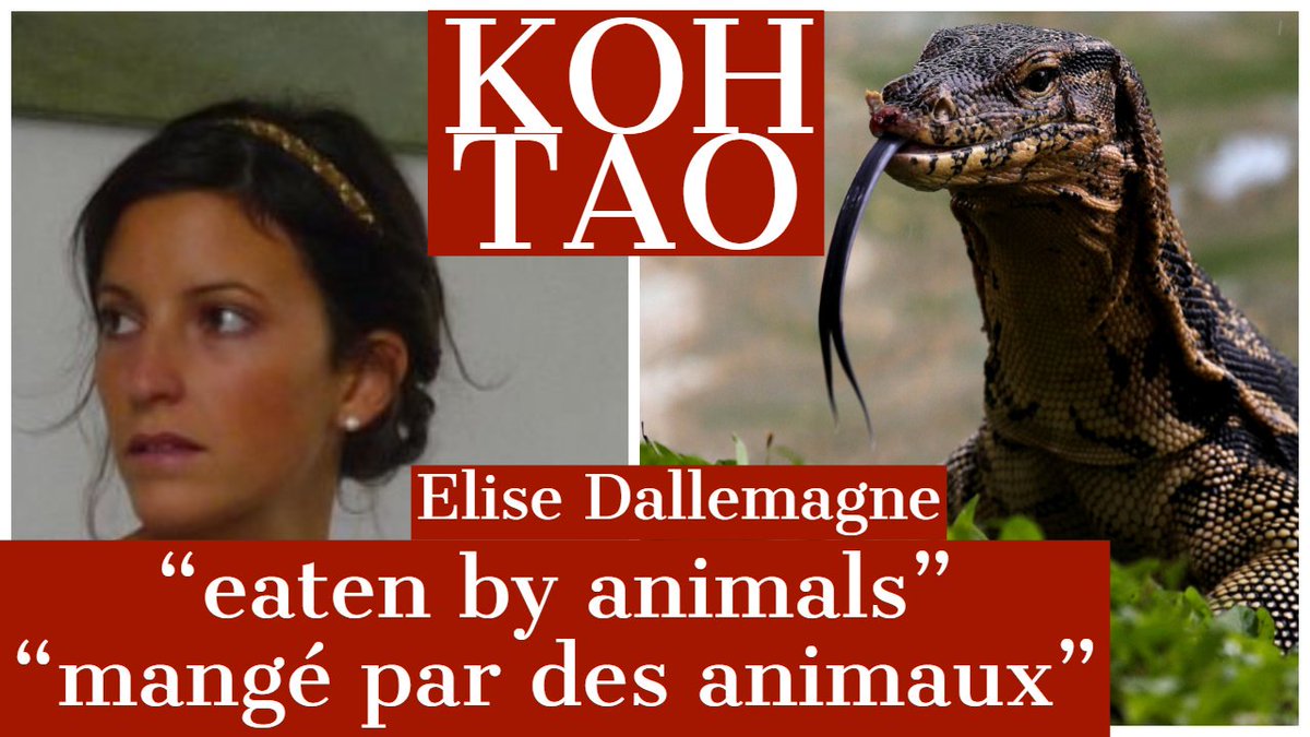 IanYarwood_Law's tweet photo. Koh Tao, Thailand aka "Death Island" claimed the life of Belgian woman, Elise Dallemagne (30) in April 2017.

There were many mysterious aspects to her death &amp; Koh Tao police and locals seemed keen to have both her death &amp; the circumstances covered-up.

https://t.co/2hYP9lfBea https://t.co/wp7WoIzZbT