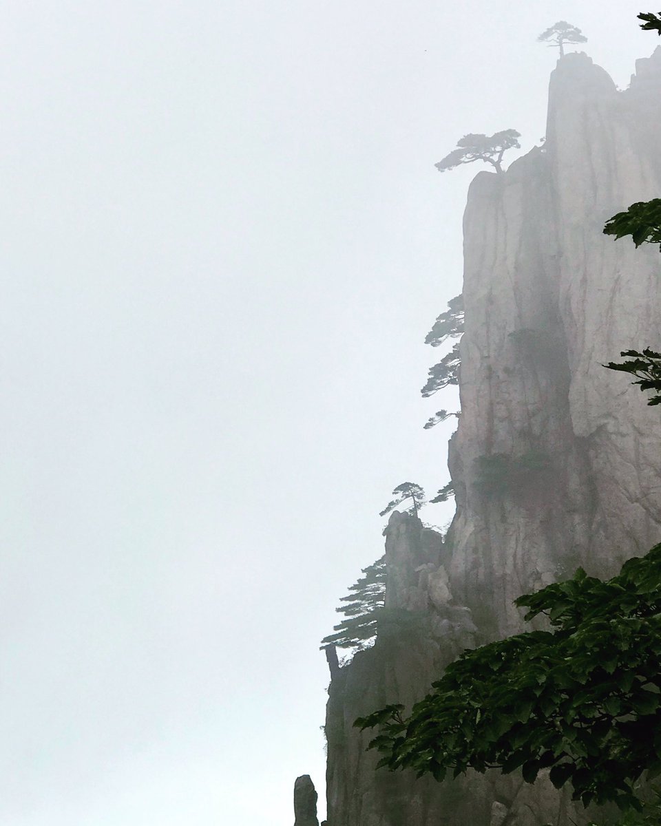 enzocursio's tweet photo. The best of China 🇨🇳 #real #paint #yellowmountains #china https://t.co/4TOIPnXTC2