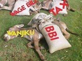 solo_ambuku's tweet photo. @ntvkenya @debarlinea @MuthumaGabriel is such a tiring and conflicted sycophant and @jubileepartyHQs apologist for hire, he always talks gas. @HManyora is spot on, only antidote for a non-performing, jocular administration is #RevolutionKE , #RevolutionIsNotTreason . Resist! #redv π . #AmLiveNTV https://t.co/kMSkhon06P