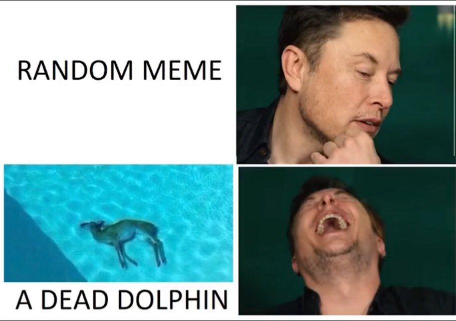 Рандомный что это. Генератор рандомных мемов. Мемы про рандом. Мемы про рандом. Мемы про рандом.