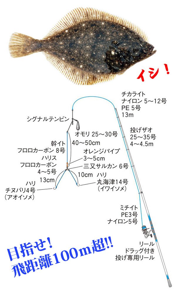 イシガレイ