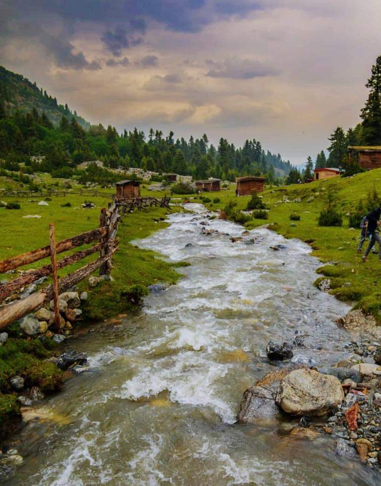 PakistanNature1's tweet photo. Fairy Meadows &amp; Beyal Camp Nanga Parbat.
#GilgitBaltistan #NorthernPakistan #BeautifulPakistan #pakistanZindabaad #BornForPakistan #VisitPakistan https://t.co/Ins61G8uS0
