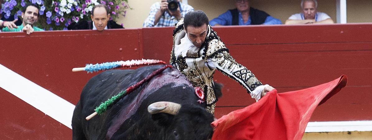 franceinfo's tweet image. Le ministre de l&apos;Agriculture, en charge de la protection animale, photographié en train d&apos;assister à une corrida francetvinfo.fr/animaux/bien-e…