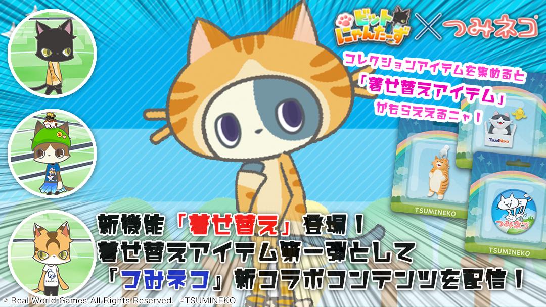 つみネコ公式 Tsumineko Now Twitter