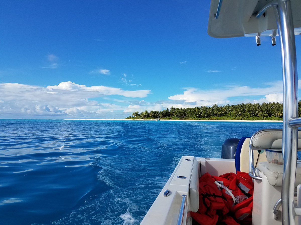 MathwithMaxwell's tweet photo. It's hard to bet a boat ride and snorkeling during new teacher orientation. https://t.co/JVSq4dOBrX