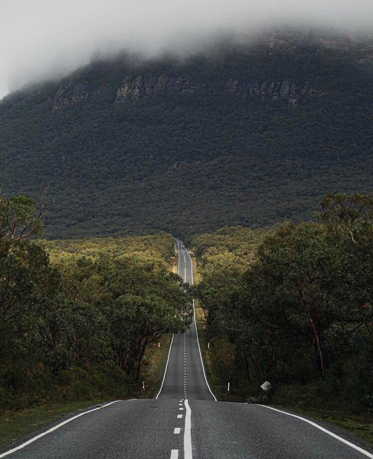 Wildlife_Tours's tweet photo. Travel to Australia’s ancient mountains to get up close to native wildlife and experience the culture and history of the land’s original inhabitants in this #Grampians wildlife tour.
https://t.co/RmjRxHnYoj

📸@rhisang_
#grampiansnationalpark #grampians #wildlifetours https://t.co/4zFwyibuMt