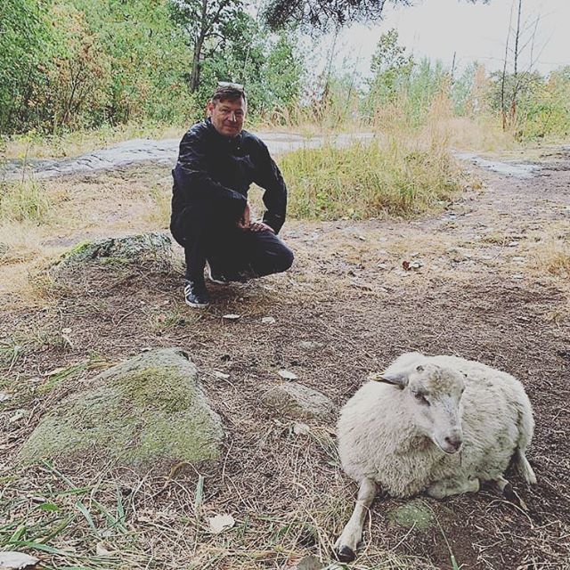 roxitus's tweet photo. Kuusiluoto ja saarella on yksi kuusi ja muutama lammas. Lammassaarella siinä vieressä ei ole lampaita mut on kuusia. #lammassaari #kuusiluoto Lammassaarella on myös pallogrilli ja laituri. Hiilet pitää viedä itse jos makkaralle meinaa mennä. #retkellä https://t.co/OyBMXtFZUv https://t.co/oLE6SmXv3M