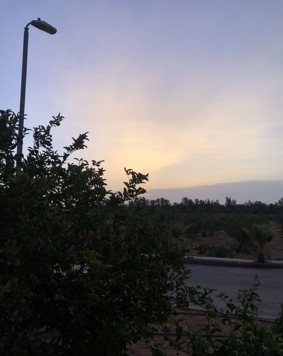 Saay_98's tweet photo. احب الشروق لانه يحسسني بشعور غريب مثل روحي تنولد من جديد 🌄❤️ https://t.co/i5JozJzOxo