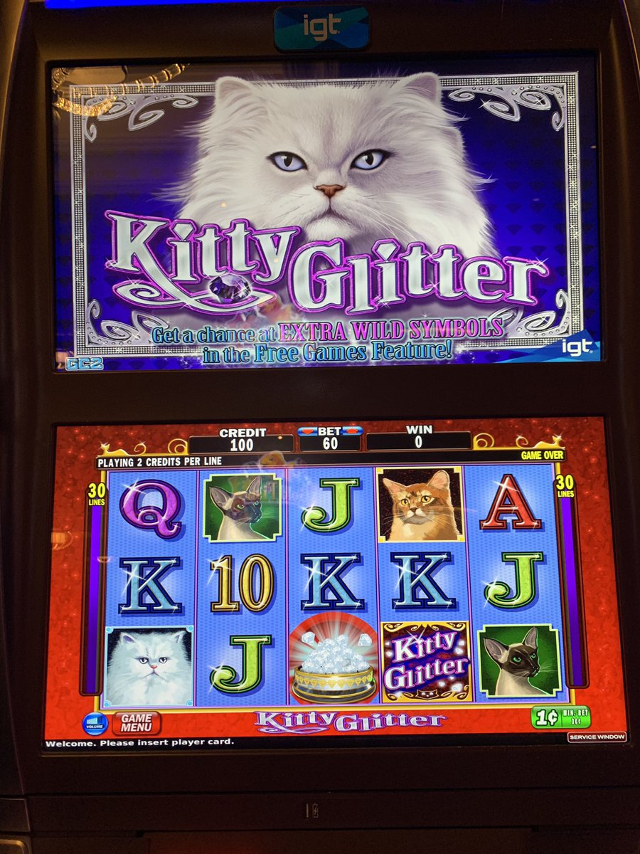 shanders143's tweet photo. @itsdoctorem I found #kittyglitter https://t.co/hcK8BBPu2U