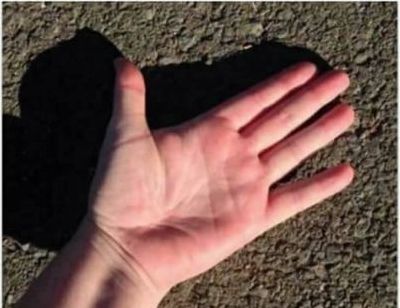 On sunny/hot days, please remember to check the ground before going out, to make sure it's not too hot for your pets to walk on. Use the back of your hand, and if the ground is too hot for your hand, then it's too hot for pets to walk on.