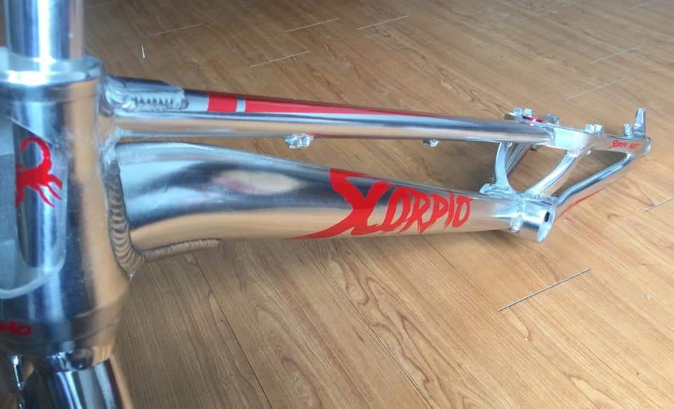 BikeScorpio's tweet photo. Scorpio is currently the only brand who accepts custom order, we do think an outstanding rider is worth having a high-end bike, because you deserve it.

#Scorpio_bike
#KATT
#AS30
#PM
#HS33
#135mmx12 thru axle 
#24”
#Customization

https://t.co/6MsVUUx1wt
https://t.co/bHZ3ubJwA5 https://t.co/r5PBoqgwfx
