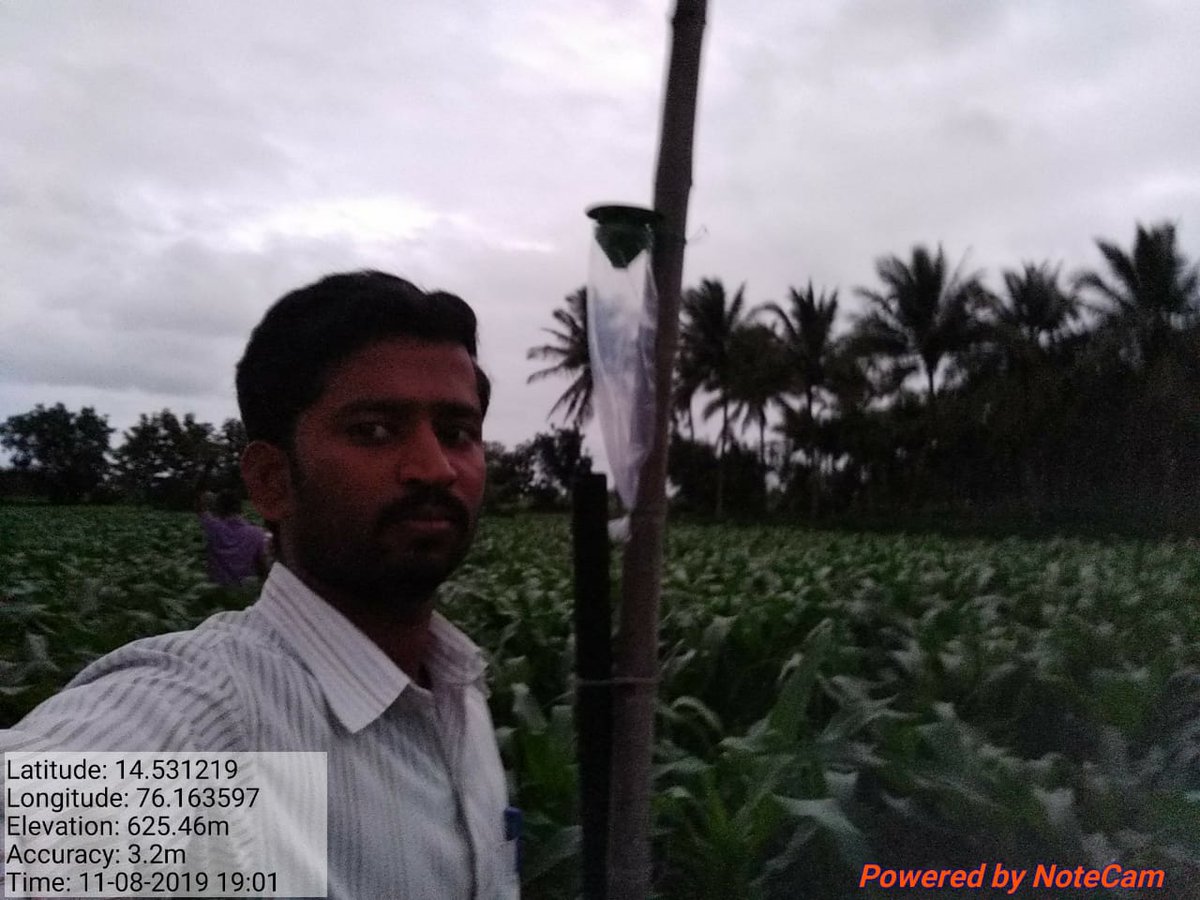 There is an urgent need to prevent FAW infestation and empower farmers. In partnership with <a href="/6thGrain/">6th Grain</a> EasyKrishi is working on preventing future crop damages under the guidance of <a href="/dr_shejawal/">Dr. Naresh Shejawal</a>; setting FAW traps to build a real-time Early Warning System in Central Karnataka.