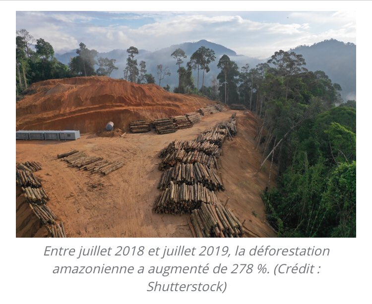 ISAbella_P_PARF's tweet photo. #Déforestation : la #Norvège ( après l’#Allemagne ) retire 30 millions d’euros de subventions au #Brésil
Les donateurs du fonds pour l’#Amazonie bloquent tour à tour leurs dons, effrayés par la déforestation galopante qu’entraîne la politique de #JairBolsonaro https://t.co/yGZrvd43Mo