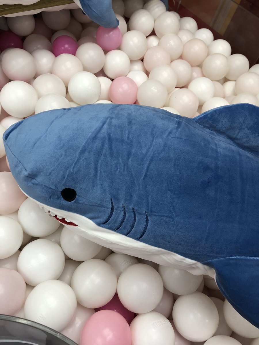 プライズ情報】「サメ SUPER BIGぬいぐるみ」入荷致しました！ 名前の