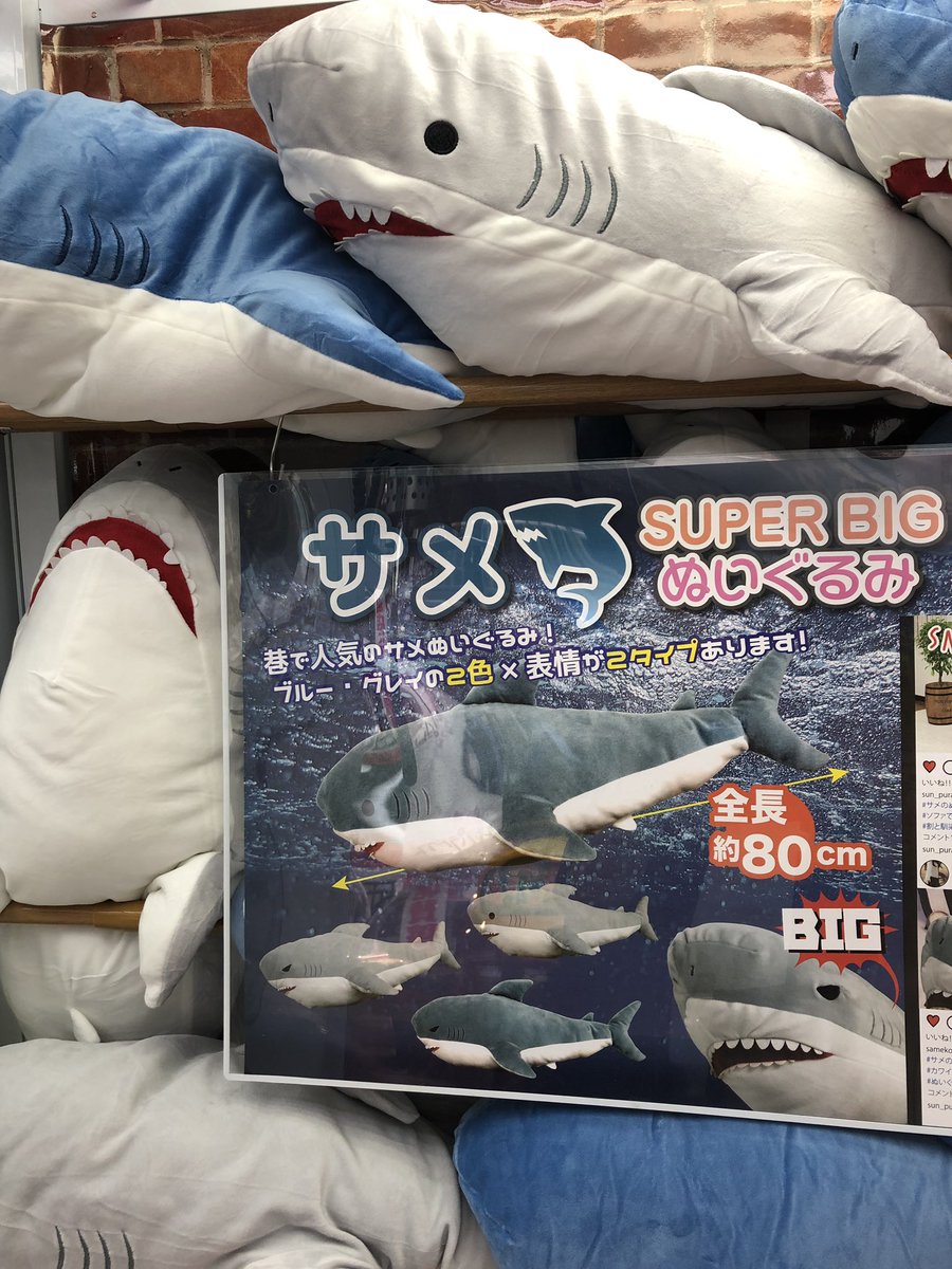 プライズ情報】「サメ SUPER BIGぬいぐるみ」入荷致しました！ 名前の