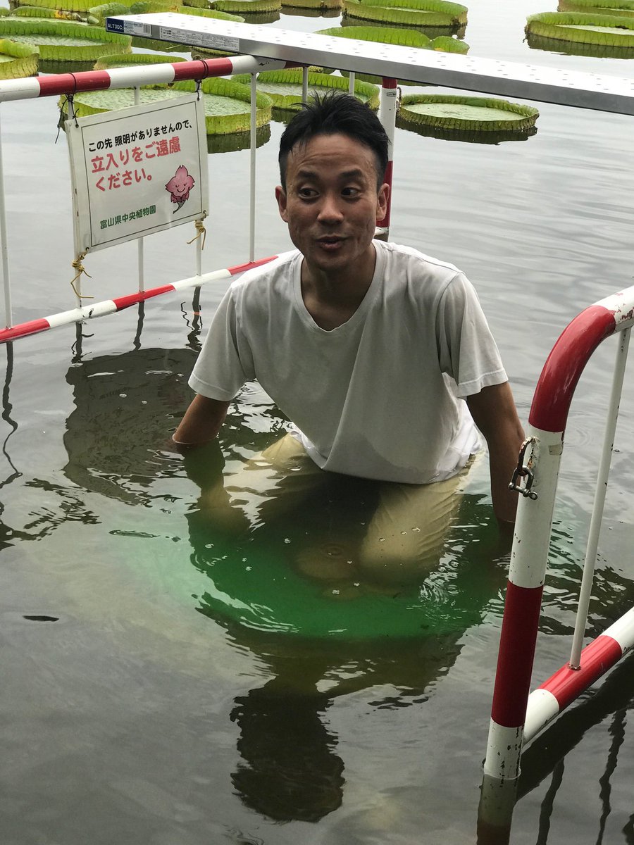 Knbラジオ 北日本放送 富山 開局70周年 でるラジ 挑戦 オオオニバス乗り 伊藤ちゃんは 見事沈没 乗られるお子さまは 周りのトゲに注意してね と言ってます Knb Knb738 でるラジ 伊藤ちゃん オオオニバス 富山県中央植物園