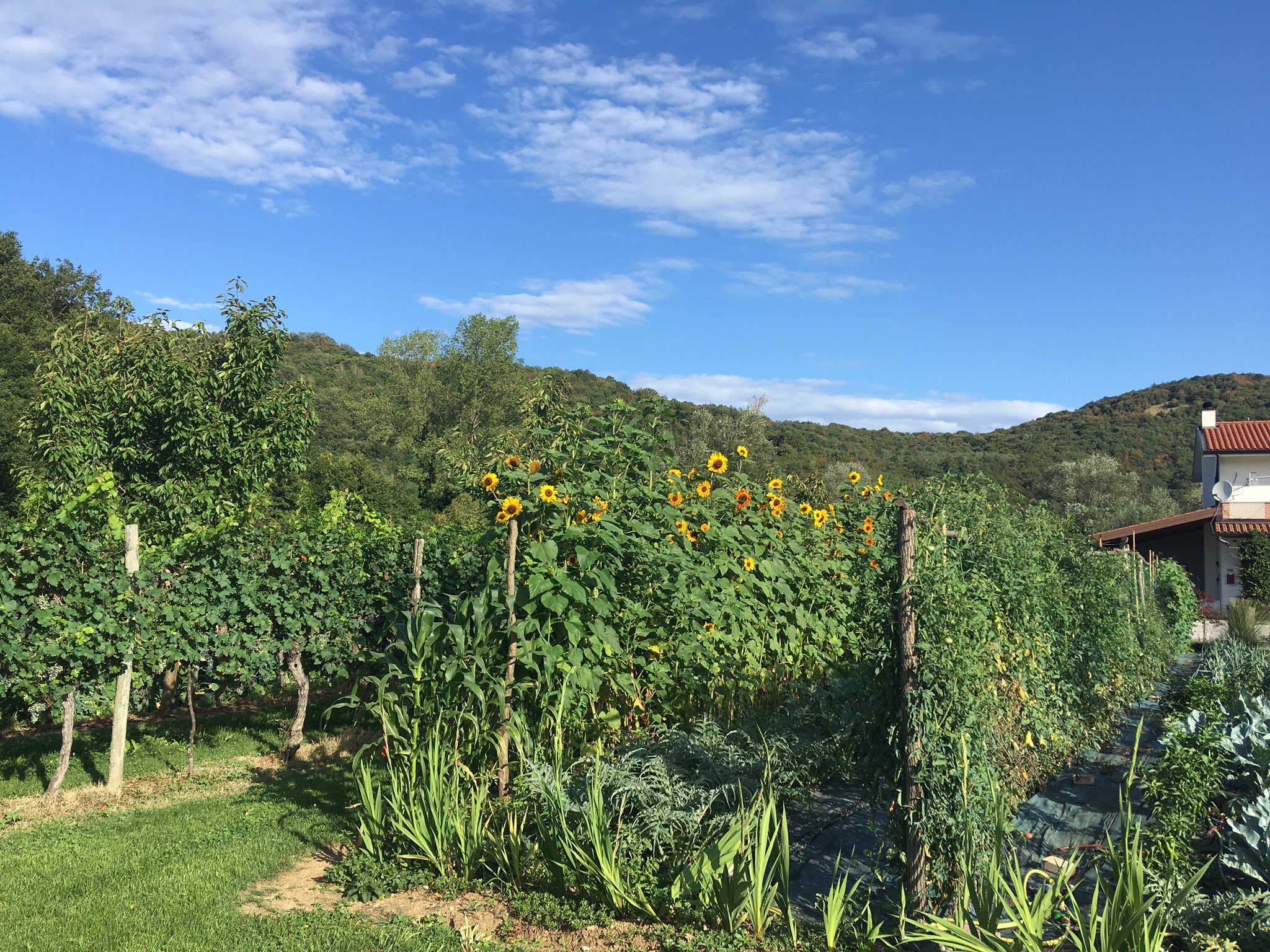  Happy belated birthday. 