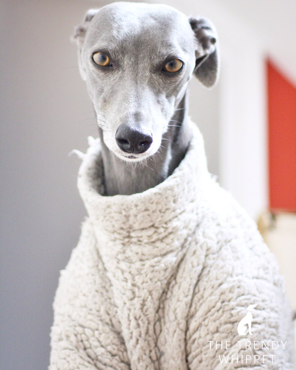 TrendyWhippet Grey Fluffy Jumper 