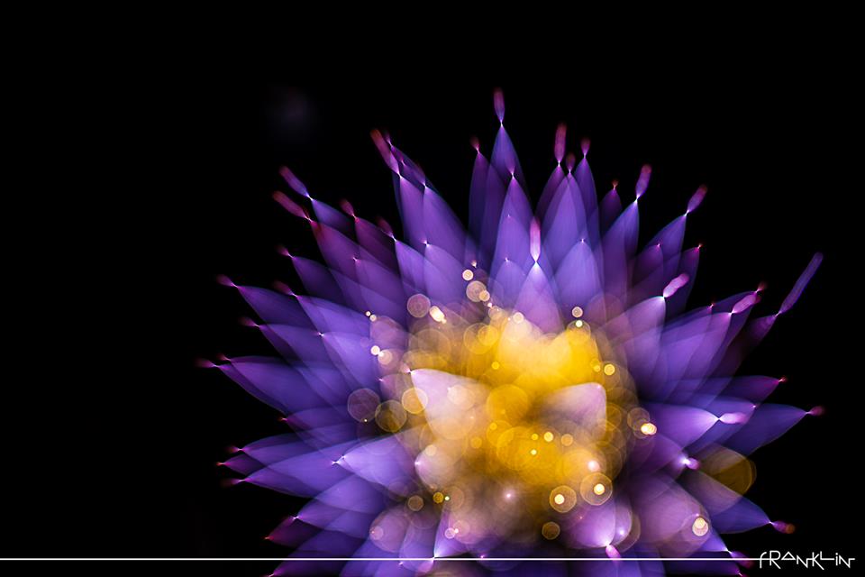 picsfranklin's tweet photo. Avez vous déjà vu des fleurs de lumière ? Venez les voir au #festival de #photographie de #dordives (#loiret) Le 13-14 et 15 Septembre. Je présenterai mes #photographies sur ce thème. Une première !! https://t.co/Ov2eLjEjwj