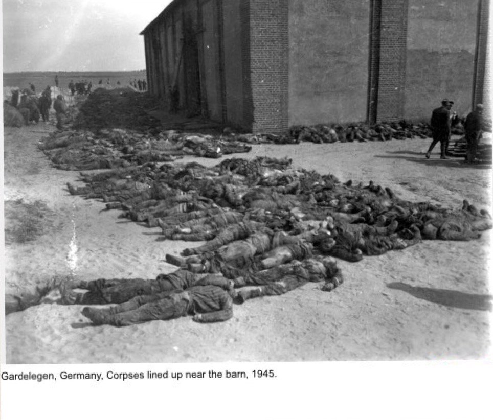 YarlYOMSBORG's tweet photo. @gabrielelesser @JuedischeOnline Gabi #AskWhyWWII 41%DEyouth didn'tKnow Holocaust RCCh'victims madeBy #German perpetrators ex Einsatzgruppen: burned alive #Gardenlegen/toghether #Poles who sheltter #Jews &whole village #Rekowka #Bialka #Markowa& #800PolishVillages;occupied Poland #GermanDEathCamps 6mlnPL'citizen https://t.co/R8qbnyJH56