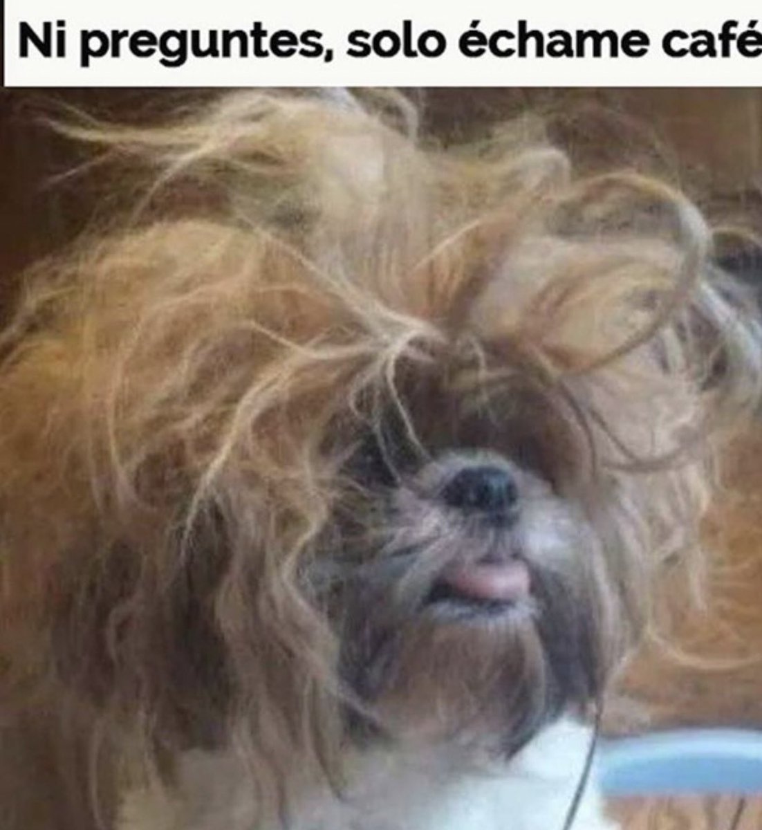Kriscri_'s tweet photo. Buenos días, casi todo el mundo de fiesta y yo en la oficina 🙄🤦🏻‍♀️, pues eso.... https://t.co/WLvaGcHwCI