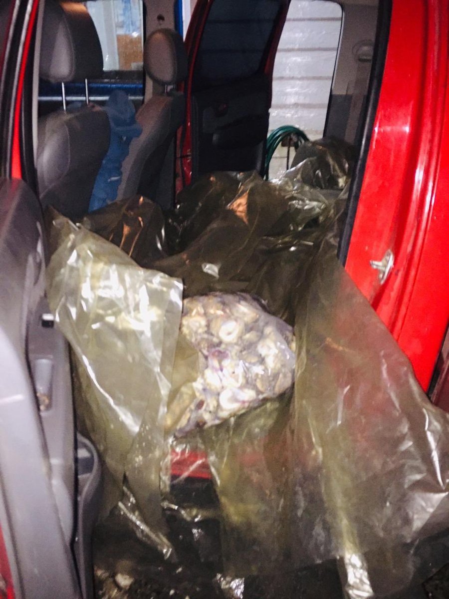 Gran decomiso productos en veda en operativo de policía Maritima en Chacao lográndose incautar 10285 unidades de Locos registrando 984 kgs, una camioneta 4*4 y la detención de 2 personas responsables de este ilícito catalogado como delito. Excelente trabajo de la Capuerto Ancud