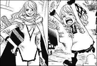 ワンピースに登場する巨人族のキャラクター一覧 あなたは誰推し 漫画情報 Info