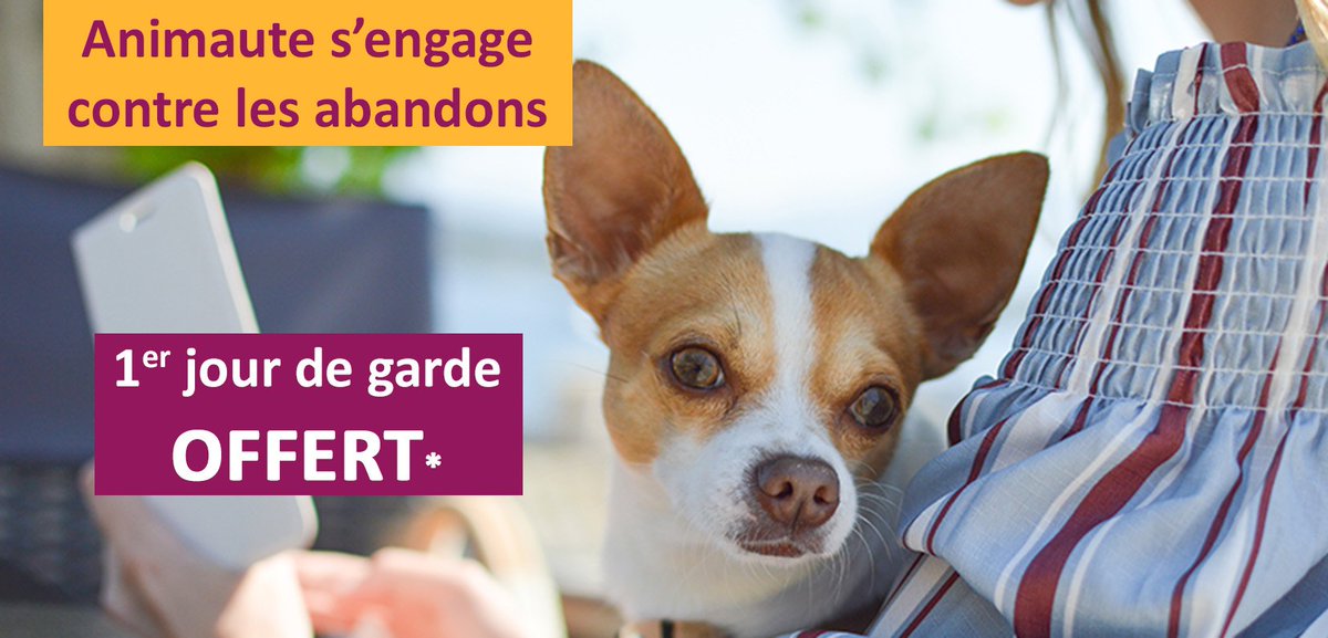 Pour cet été, Animaute s’engage contre l’abandon des animaux en offrant le 1er jour de garde.
Nos 180.000 pet sitters sont disponibles partout en France pendant vos vacances!
animaute.fr/garde-1j-offer…
*offre valable pour toute garde de 7 jours minimum jusqu'au 31/08/2019.