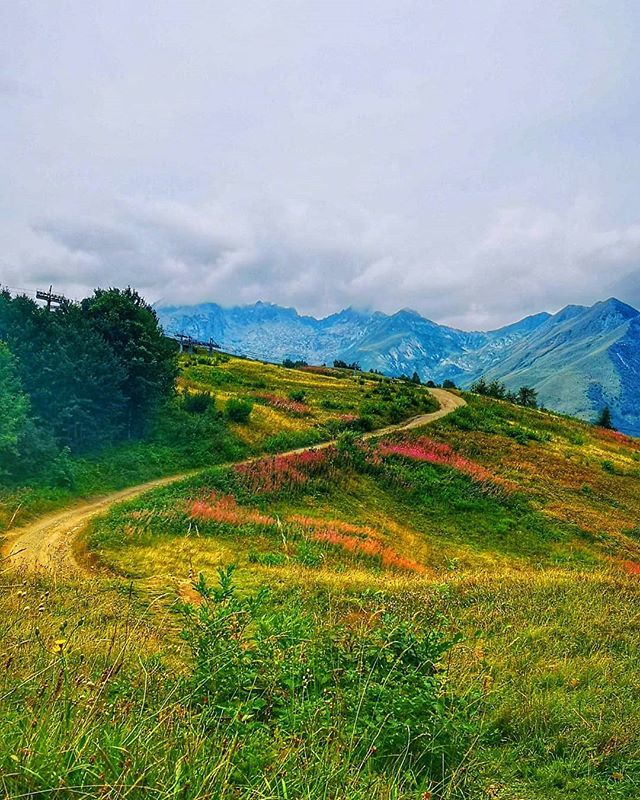 federicagoria's tweet photo. Andiamo in montagna per lasciare l'anima libera di correre, di ritrovarsi negli spazi illuminati dal sole e negli angoli ombrosi delle nuvole.
Camminiamo su strade che portiamo nel cuore perché ogni volta ci sarà una nuova "impressione", un nuovo gioco d… https://t.co/1LMsxDO8PB https://t.co/MtfmLqIevl