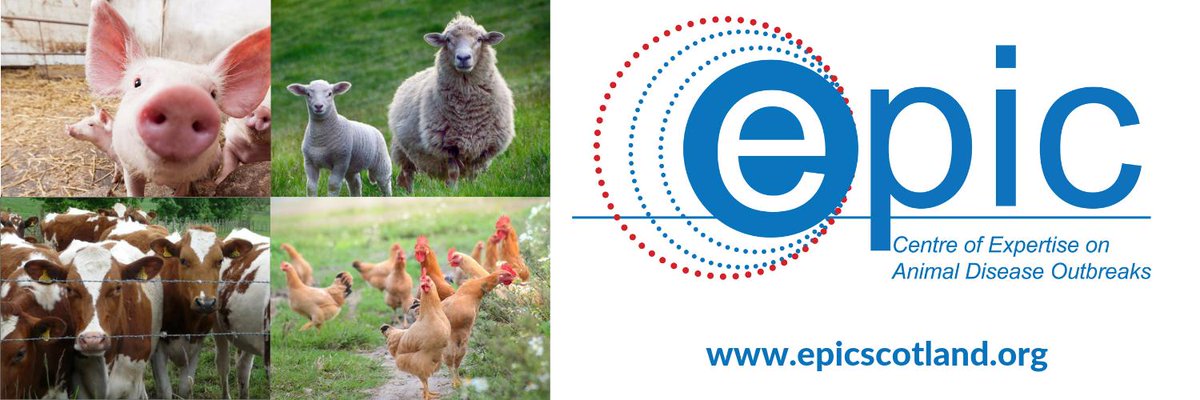 EPIC Scotland tweet media