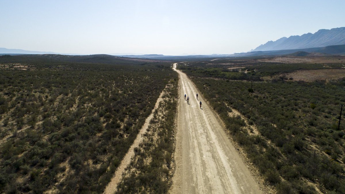 Sven Thiele tweet media