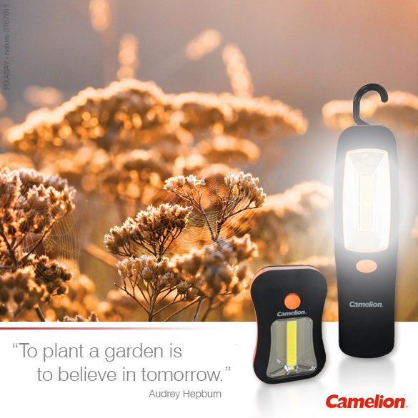 ebook improving learning by widening participation in