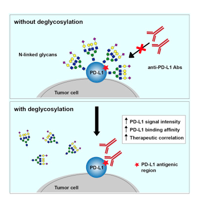 Cancer Cell tweet media