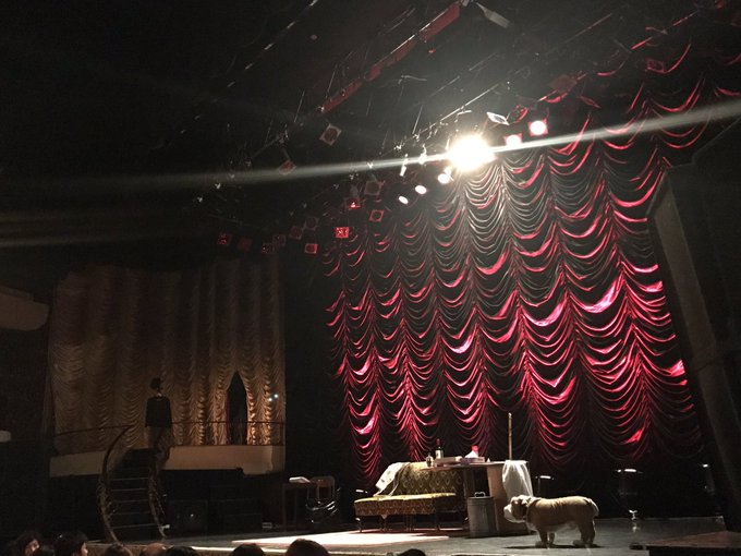 テイラーバートンのtwitterイラスト検索結果