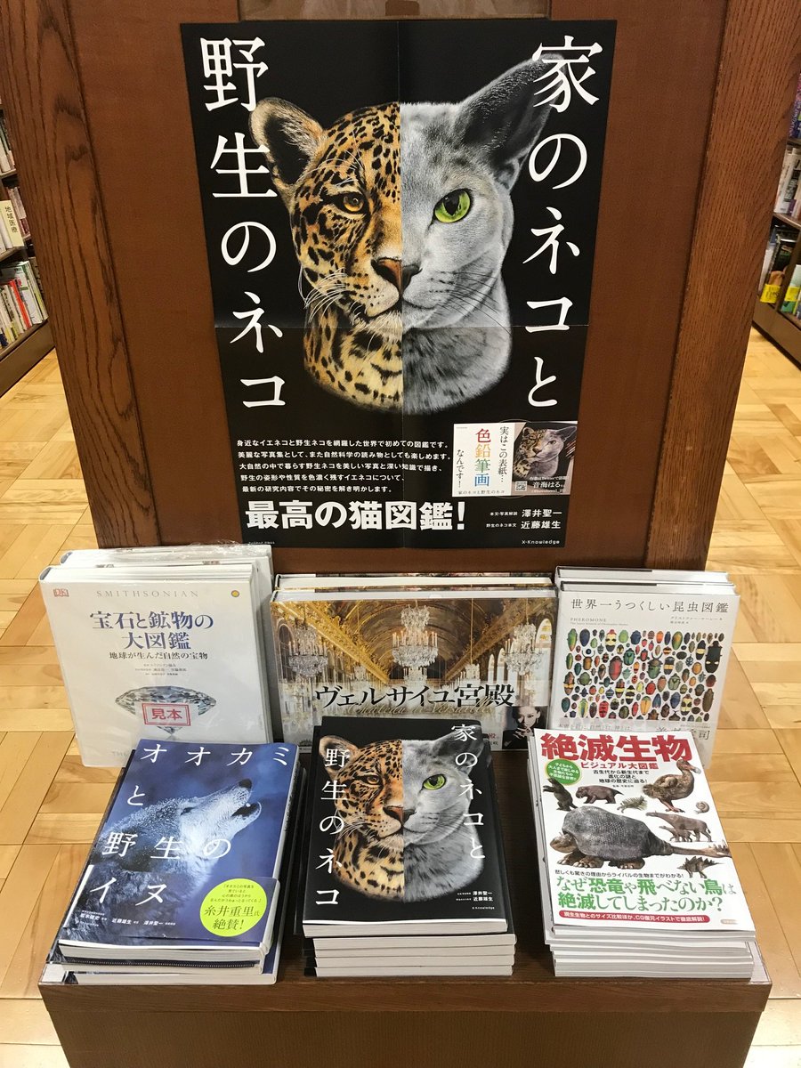 ジュンク堂書店郡山店 در توییتر オオカミ エクスナレッジ オオカミと野生のイヌ はよかったなあ そうしたら エクスナレッジ 家のネコと野生 のネコ が出ました イヌ派のぼくも納得のネコ図鑑でした エクスナレッジ オオカミ