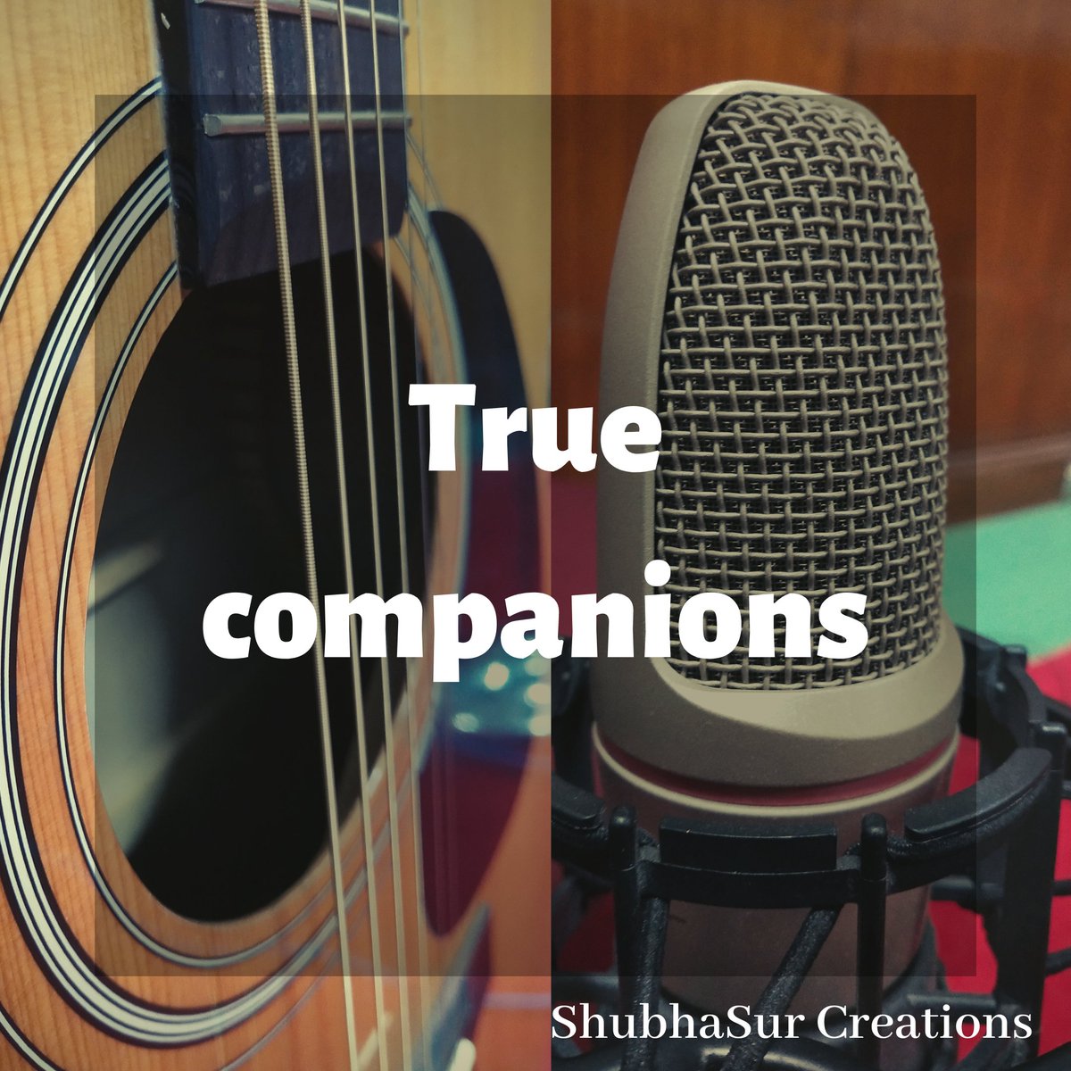 True companions...!!

#shubhasurcreations #musicians #musicstudio #microphone #guitar #musicproducer #musicproduction #studiosetup #composingmusic #musicislife #musiclovers #musiclove #musiclover #musicforever #recordingstudio #recordingtime #truecompanions