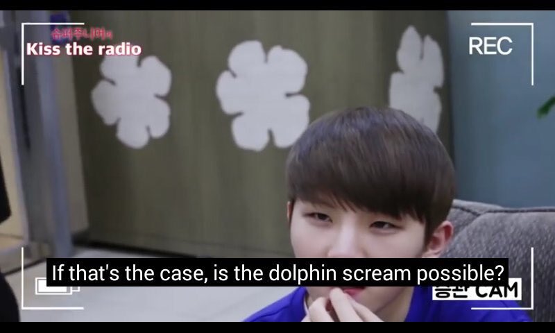 So they were talking about jihoon’s dolphin high note and Wonwoo joked that some ppl might not be able to hear it... and everyone was like:“????”“wat is he saying now” — and this boy explains that he’s talking about frequencies of dolphin sounds and shit 