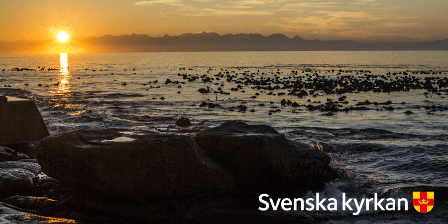 Gud, tack för att din nåd är var morgon ny! #godmorgon