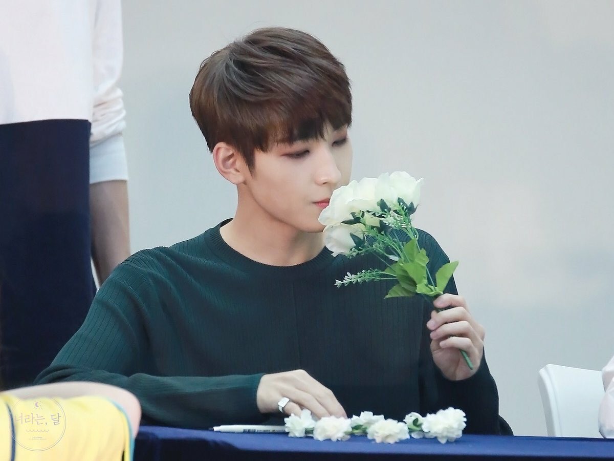 Wonwoo once said he was receiving so many flower gifts at fansigns, so he‘d go through encyclopedias to learn about all the flowers that carats would give him.Not only is that hella PRECIOUS... but, encyclopedias? WHO READS ENCYCLOPEDIAS ON THEIR FREE TIME? Wonwoo apparently.
