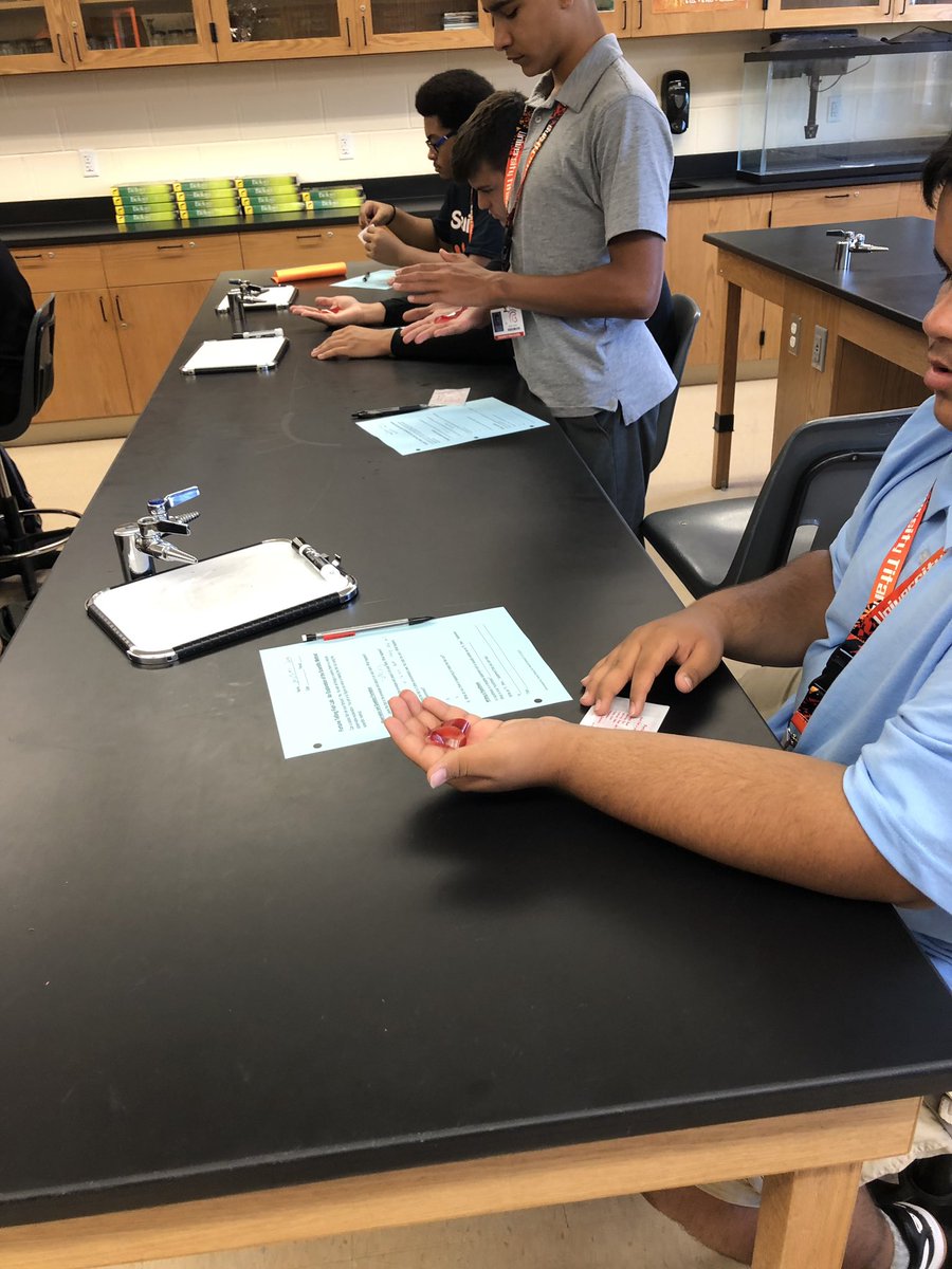 Becca Krueger tweet media