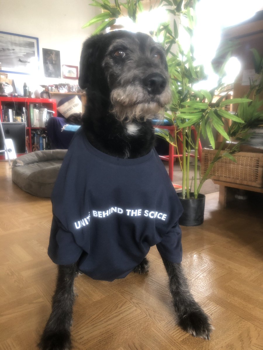 StruppiDog's tweet photo. #fridaysforfuture #animalsforclimate #gretathunberg #borisherrmann #teammalizia We can make a change! https://t.co/kPUg4kCjg2