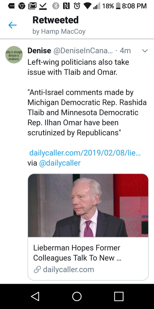 Linda Frum and Michelle Rempel have come to the defense of Illhan Omar. Linda thinks that both Omar and Tlaib should be allowed into Israel.This is shameful. Did she defend Salim Mansur when he was rejected by the Conservative Party? (thread)