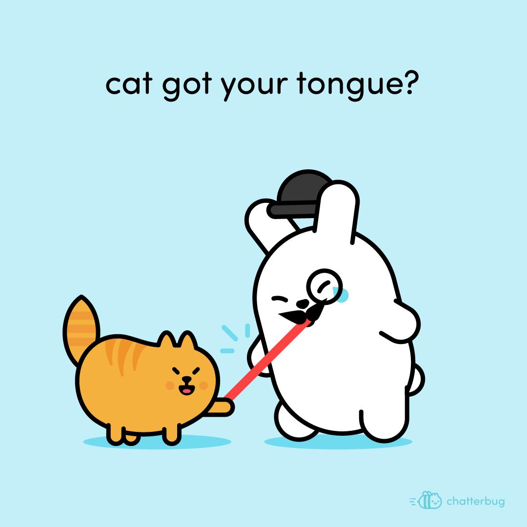 chatterbug_es tweet picture