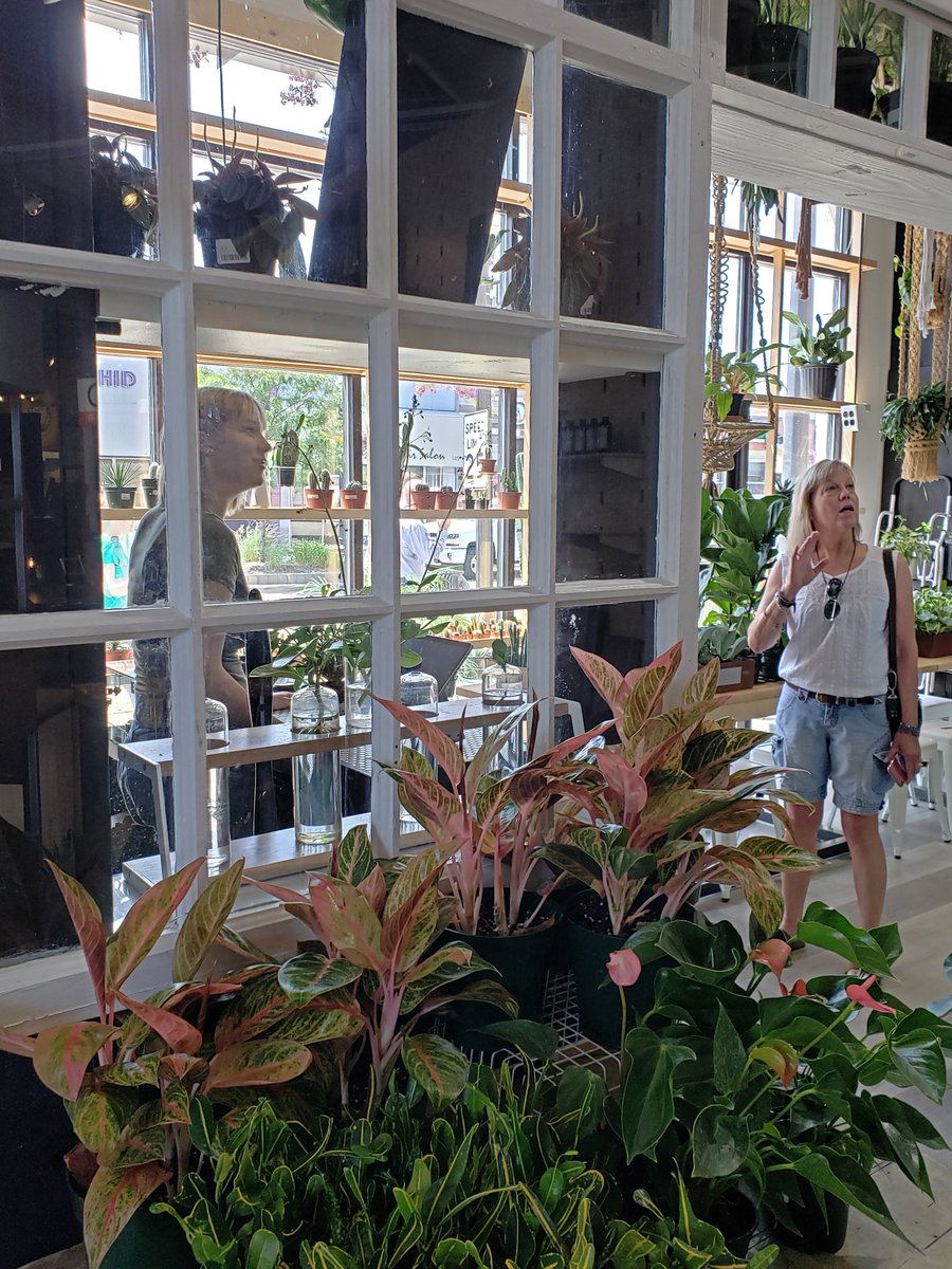 RustBeltMarket's tweet image. You don't have to be a plant expert to shop at The Plant House. If you have any questions about plants they can answer them. We will be open from 12 pm until 7 pm today, come talk to us! #shoprustbelt #rustbeltmarket #shoplocalmichigan #theplanthouse