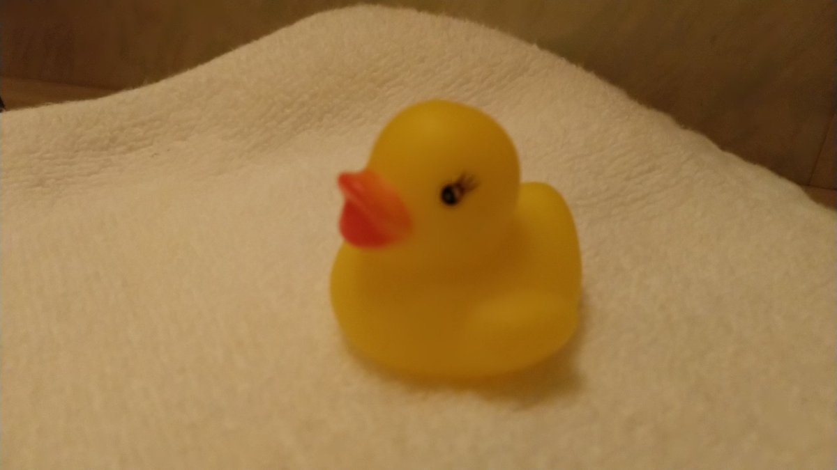 バスルームでアヒルさんが出迎えてくれるホテル 連れて帰ってもok ほっこり でもなぜこのサービスが Togetter